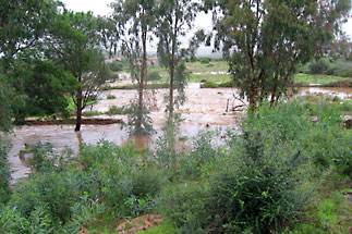 2008: Überschwemmung in Sardinien